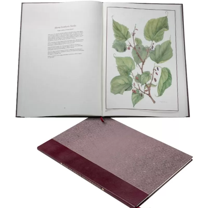 Limited Edition The Queen'S Mulberries*Royal Collection Shop Shop