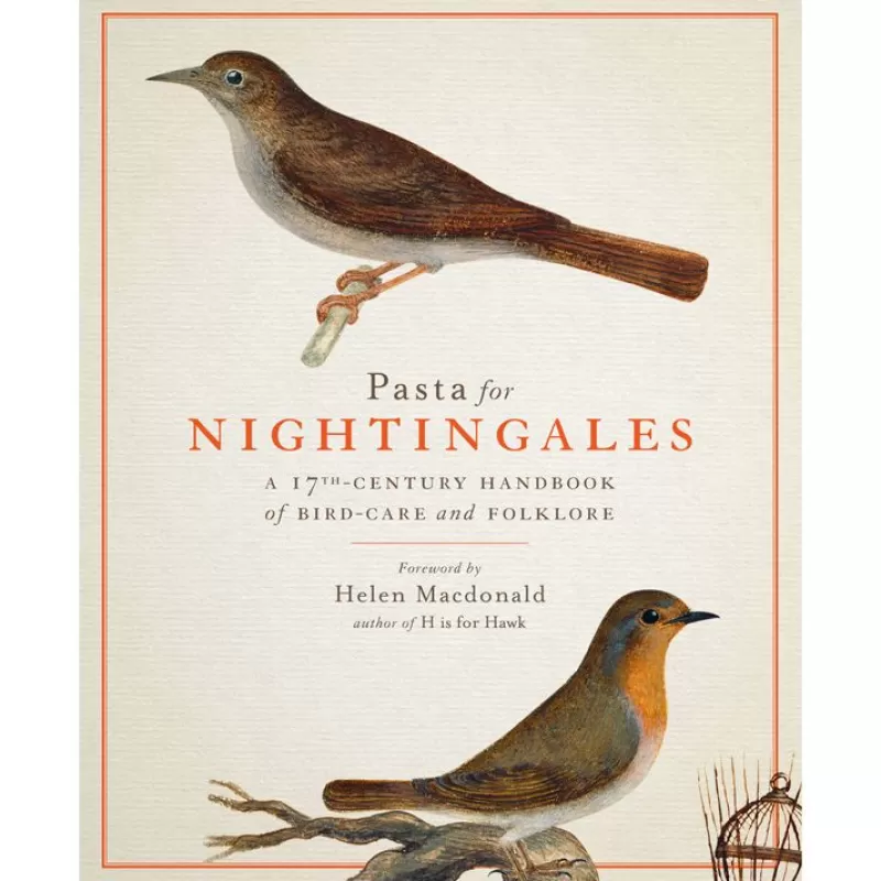 Pasta For Nightingales: A 17Th-Century Handbook Of Bird-Care And Folklore*Royal Collection Shop Cheap
